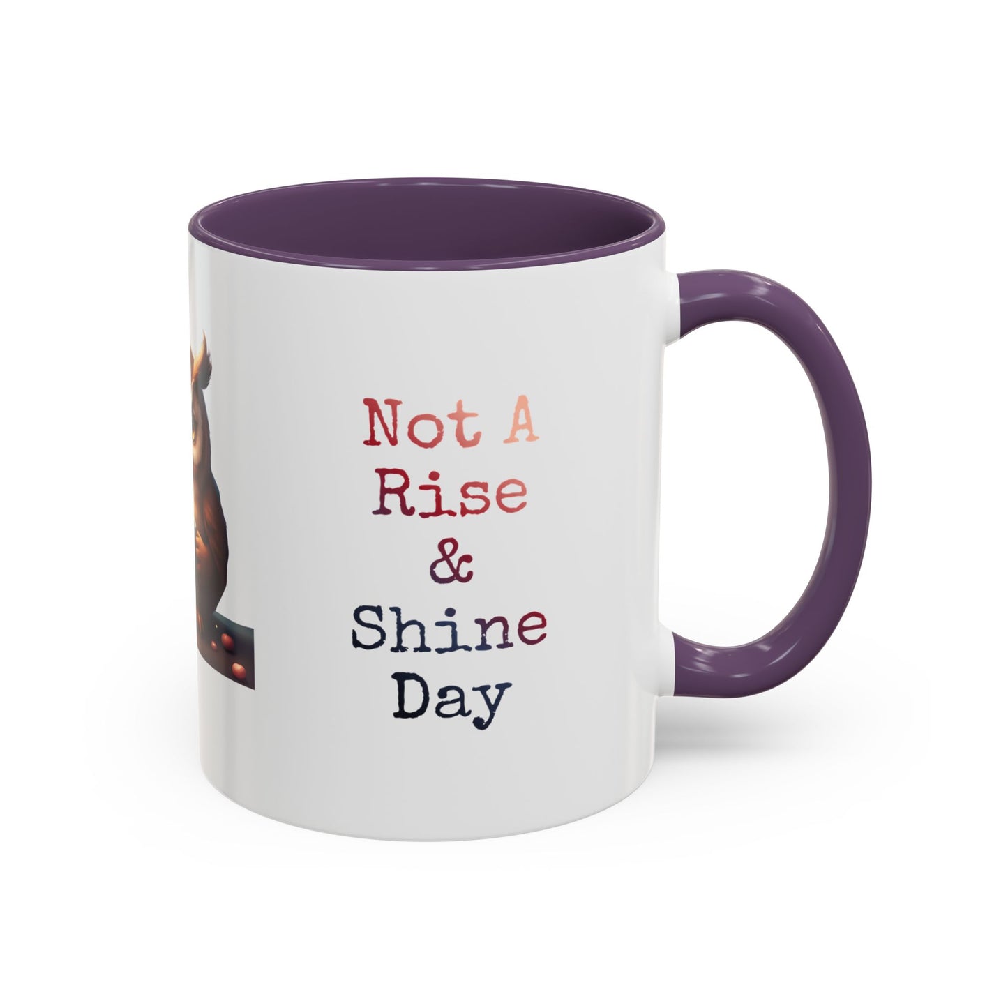 Coffee Mug — "Not A Rise & Shine Day"  —  Owl Accent Mug (11/15 oz) — Funny Morning Coffee Cup