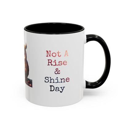 Coffee Mug — "Not A Rise & Shine Day"  —  Owl Accent Mug (11/15 oz) — Funny Morning Coffee Cup